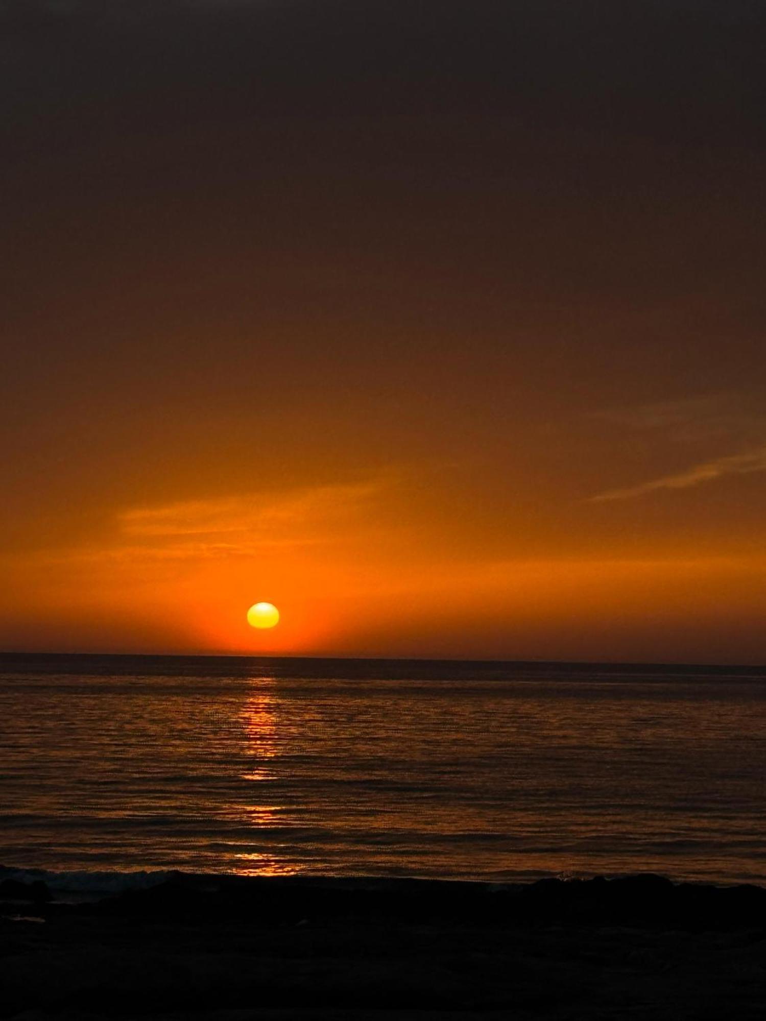 Orange Tree Studio, Just Steps From The Sea *